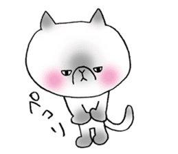 Nekoo exotic short hair(cat) vol.2 sticker #9395364