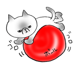 Nekoo exotic short hair(cat) vol.2 sticker #9395365