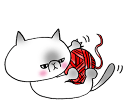 Nekoo exotic short hair(cat) vol.2 sticker #9395374