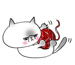 Nekoo exotic short hair(cat) vol.2 sticker #9395374