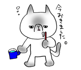 Nekoo exotic short hair(cat) vol.2 sticker #9395376