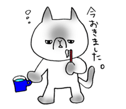 Nekoo exotic short hair(cat) vol.2 sticker #9395376