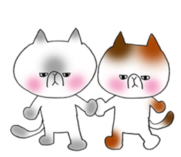 Nekoo exotic short hair(cat) vol.2 sticker #9395379