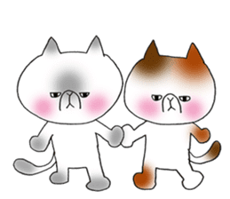 Nekoo exotic short hair(cat) vol.2 sticker #9395379