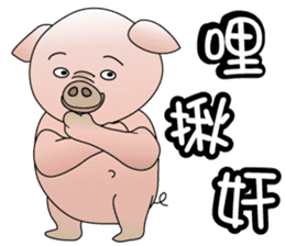 Concussion-pigs(1) sticker #9396546