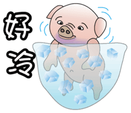 Concussion-pigs(1) sticker #9396551