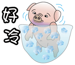 Concussion-pigs(1) sticker #9396551