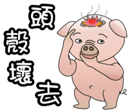 Concussion-pigs(1) sticker #9396556