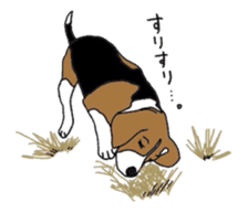 I love my beagle! sticker #9397307