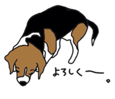 I love my beagle! sticker #9397312