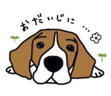 I love my beagle! sticker #9397319