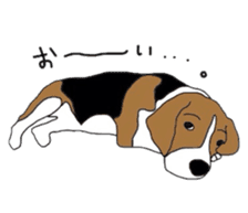 I love my beagle! sticker #9397320