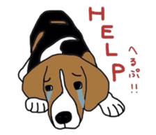 I love my beagle! sticker #9397322