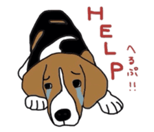 I love my beagle! sticker #9397322