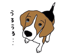 I love my beagle! sticker #9397324