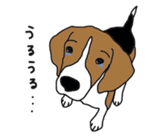 I love my beagle! sticker #9397324