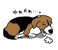 I love my beagle! sticker #9397332