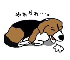 I love my beagle! sticker #9397332