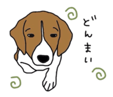 I love my beagle! sticker #9397334