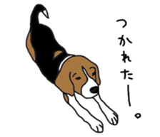 I love my beagle! sticker #9397338