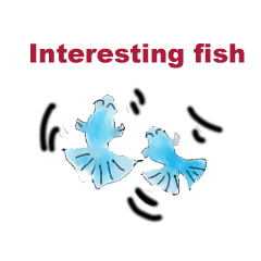 Interesting fish