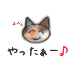 Frequently used words "Calico cat" sticker #9400024
