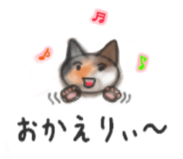 Frequently used words "Calico cat" sticker #9400030