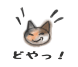 Frequently used words "Calico cat" sticker #9400041