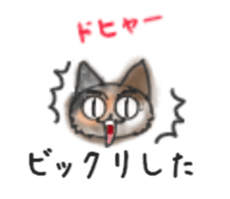 Frequently used words "Calico cat" sticker #9400045