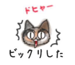 Frequently used words "Calico cat" sticker #9400045