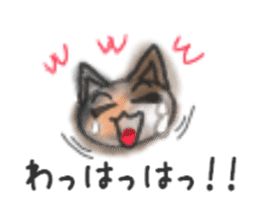 Frequently used words "Calico cat" sticker #9400047