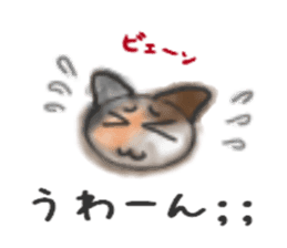Frequently used words "Calico cat" sticker #9400048
