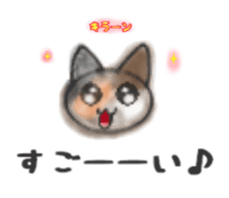 Frequently used words "Calico cat" sticker #9400049