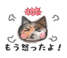 Frequently used words "Calico cat" sticker #9400051