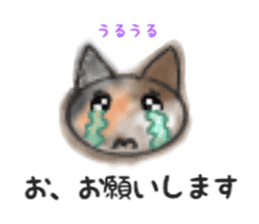 Frequently used words "Calico cat" sticker #9400052