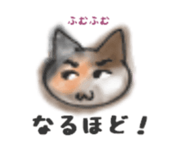 Frequently used words "Calico cat" sticker #9400055