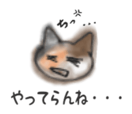 Frequently used words "Calico cat" sticker #9400057