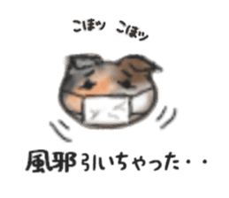 Frequently used words "Calico cat" sticker #9400058