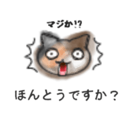 Frequently used words "Calico cat" sticker #9400059