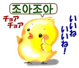 Korean and Japanese. This is a chick. sticker #9402749