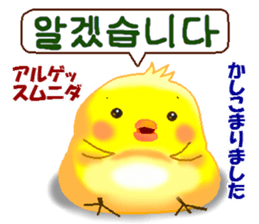 Korean and Japanese. This is a chick. sticker #9402750