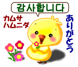 Korean and Japanese. This is a chick. sticker #9402751