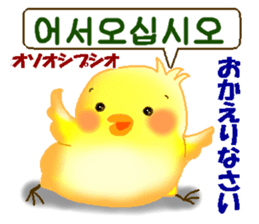 Korean and Japanese. This is a chick. sticker #9402766