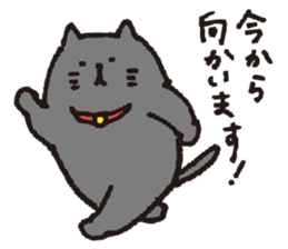 loose black cat sticker #9408798