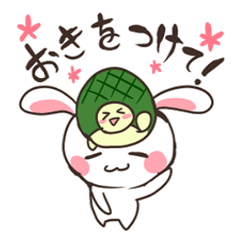 Motchiri Usagi & Kame