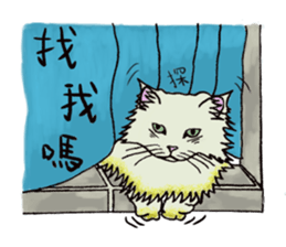 Hide-out Cloud sticker #9413404