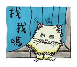 Hide-out Cloud sticker #9413404