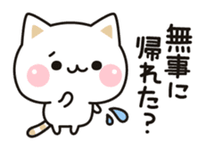 Cat to concern(drinking party ver.) sticker #9414490