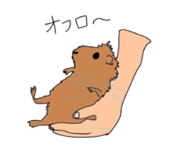 Do you know the guinea pig? sticker #9415306
