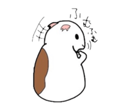 Do you know the guinea pig? sticker #9415307